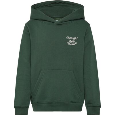 Jack & Jones Jorniagara Typo Sweat Hood Jnr 164 Green 164 Jack & Jones Jorniagara Typo Sweat Hood Jnr 164 Green 164