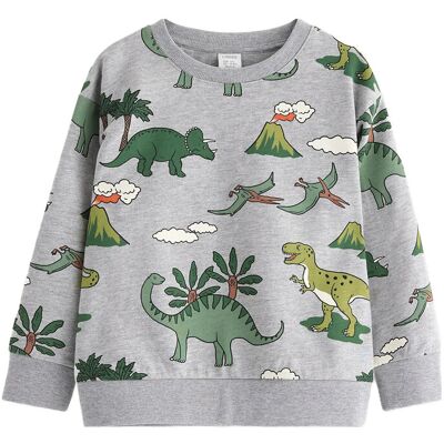 Lindex Sweatshirt Dino Aop 116 Grey 116 Lindex Sweatshirt Dino Aop 116 Grey 116