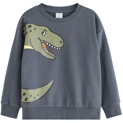 Lindex Sweatshirt Dino Placement 98 Grey 98 Lindex Sweatshirt Dino Placement 98 Grey 98