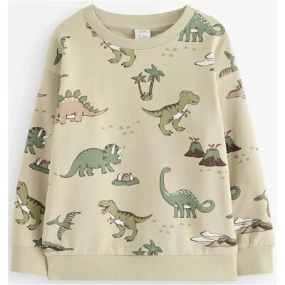 Lindex Sweatshirt Dino Aop 98 Beige 98 Lindex Sweatshirt Dino Aop 98 Beige 98