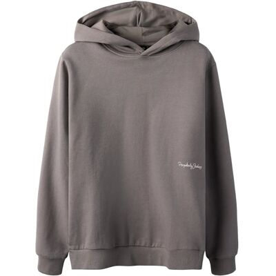 LMTD Nlmheppe Ls Sweat W. Hood 134-140 Grey 134-140 LMTD Nlmheppe Ls Sweat W. Hood 134-140 Grey 134-140