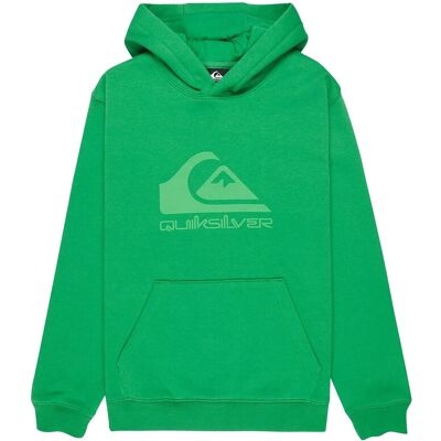 Quiksilver Comp Logo Hoodie Youth 152 Green 152 Quiksilver Comp Logo Hoodie Youth 152 Green 152