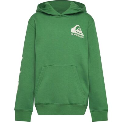 Quiksilver Omni Logo Hoodie Youth 164 Green 164 Quiksilver Omni Logo Hoodie Youth 164 Green 164