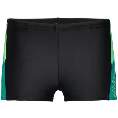 Speedo Boys Dive Aquashort 176 Black 176 Speedo Boys Dive Aquashort 176 Black 176