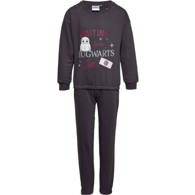 Harry Potter Joggings 104 Grey 104 Harry Potter Joggings 104 Grey 104