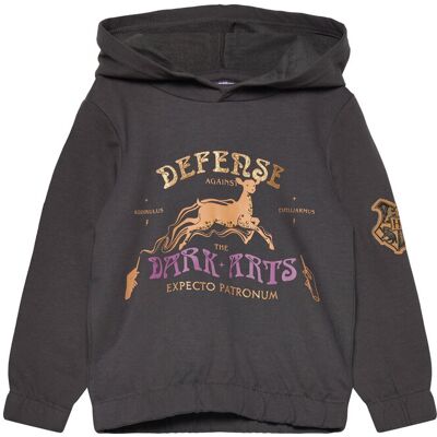 Harry Potter Sweats 98 Grey 98 Harry Potter Sweats 98 Grey 98