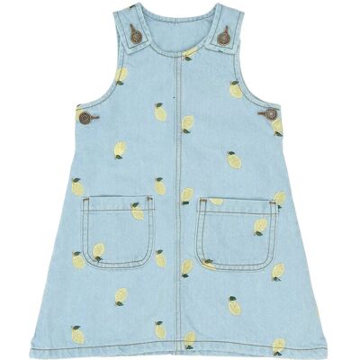 The New Tnstsaja S_L Denim Dress 98 Blue 98 The New Tnstsaja S_L Denim Dress 98 Blue 98