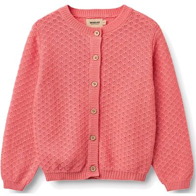 Wheat Knit Cardigan Magnella 122 Coral 122 Wheat Knit Cardigan Magnella 122 Coral 122