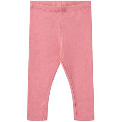 Wheat Rib Leggings Maddy 80 Pink 80 Wheat Rib Leggings Maddy 80 Pink 80
