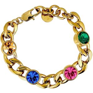 Dyrberg/Kern Ariane Sg Rainbow ONE SIZE 17 cm Gold ONE SIZE 17 cm Dyrberg/Kern Ariane Sg Rainbow ONE SIZE 17 cm Gold ONE SIZE 17 cm