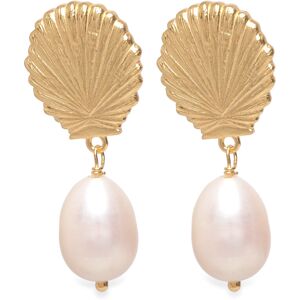 Maanesten Venus Earrings LENGTH 35MM WIDTH 13.8MM Gold LENGTH 35MM WIDTH 13.8MM Maanesten Venus Earrings LENGTH 35MM WIDTH 13.8MM Gold LENGTH 35MM WIDTH 13.8MM