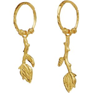 Maanesten Rory Earrings ONE SIZE Gold ONE SIZE Maanesten Rory Earrings ONE SIZE Gold ONE SIZE
