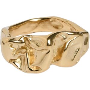 Pieces Pcdonna Ring Box Wp ONE SIZE Gold ONE SIZE Pieces Pcdonna Ring Box Wp ONE SIZE Gold ONE SIZE