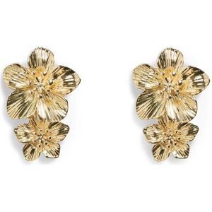 Pieces Pcpatricia M Earrings ONE SIZE Gold ONE SIZE Pieces Pcpatricia M Earrings ONE SIZE Gold ONE SIZE