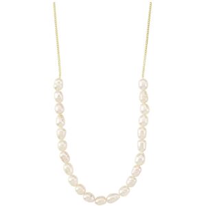 Pilgrim Berthe Pearl Necklace Gold-Plated ONE SIZE x 510 Gold ONE SIZE x 510 Pilgrim Berthe Pearl Necklace Gold-Plated ONE SIZE x 510 Gold ONE SIZE x 510