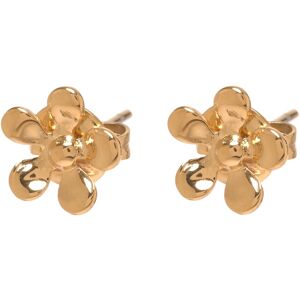 Sistie Celeste ONE SIZE Gold ONE SIZE Sistie Celeste ONE SIZE Gold ONE SIZE