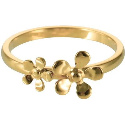 Sistie Celeste 54 Gold 54 Sistie Celeste 54 Gold 54