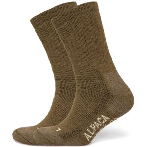 Alpacasocks&Co Alpacasocks 2-Pack 45-48 Burgundy 45-48 Alpacasocks&Co Alpacasocks 2-Pack 45-48 Burgundy 45-48