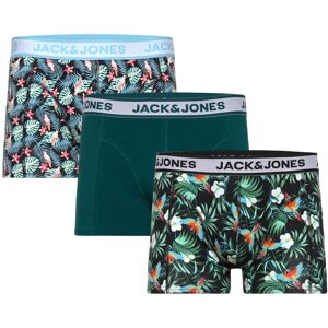 Jack & Jones Jacbird Leaves Trunks 3 Pack XXL Green XXL Jack & Jones Jacbird Leaves Trunks 3 Pack XXL Green XXL