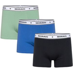 Morris Boxer Brief 3-Pack Blues L Green L Morris Boxer Brief 3-Pack Blues L Green L
