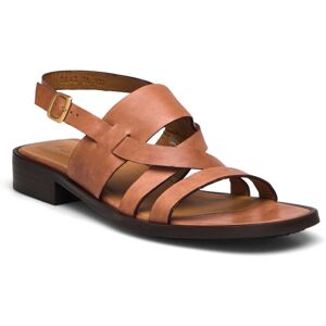 ANGULUS Sandals - Flat 37 Brown 37 ANGULUS Sandals - Flat 37 Brown 37