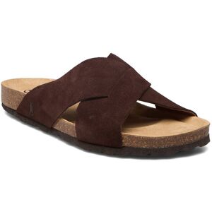 Axelda Abbie 36 Brown 36 Axelda Abbie 36 Brown 36