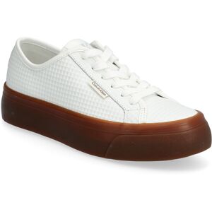 Calvin Vulc Flatf Lace Up Text Lth 36 White 36 Calvin Vulc Flatf Lace Up Text Lth 36 White 36
