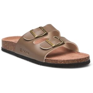 Exani Spectra W 40 Brown 40 Exani Spectra W 40 Brown 40