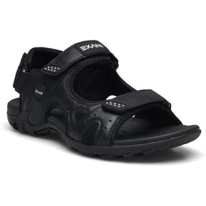 Exani Spider Pro W 36 Black 36 Exani Spider Pro W 36 Black 36