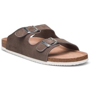 Exani Spectra Suede M 43 Brown 43 Exani Spectra Suede M 43 Brown 43