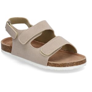 Exani Spectra Jr 35 Beige 35 Exani Spectra Jr 35 Beige 35