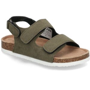 Exani Spectra Jr 33 Green 33 Exani Spectra Jr 33 Green 33