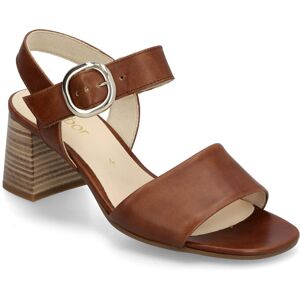 Gabor Ankle-Strap Sandal 40.5 Brown 40.5 Gabor Ankle-Strap Sandal 40.5 Brown 40.5