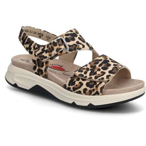 Gabor Rollingsoft Sandal 38.5 Patterned 38.5 Gabor Rollingsoft Sandal 38.5 Patterned 38.5