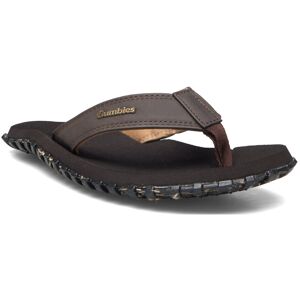 Gumbies Vegovert 36 Brown 36 Gumbies Vegovert 36 Brown 36