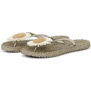 Ilse Jacobsen Flip Flops With Flower 36 Beige 36 Ilse Jacobsen Flip Flops With Flower 36 Beige 36