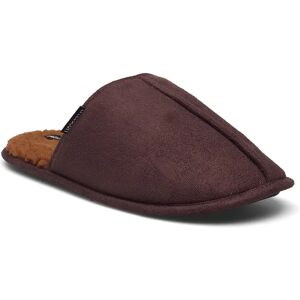 Scott Layton S Brown S Scott Layton S Brown S