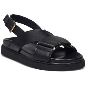 Pavement Lava 36 Black 36 Pavement Lava 36 Black 36