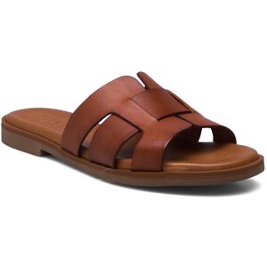 Pavement Aline 36 Brown 36 Pavement Aline 36 Brown 36