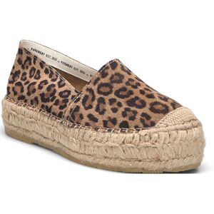 Pavement Ida Leo 36 Brown 36 Pavement Ida Leo 36 Brown 36
