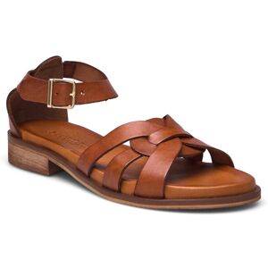 Pavement Aretha 41 Brown 41 Pavement Aretha 41 Brown 41