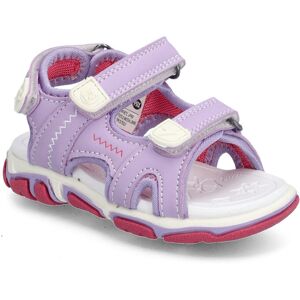 Wave Pax 24/17.6CM Purple 24/17.6CM Wave Pax 24/17.6CM Purple 24/17.6CM