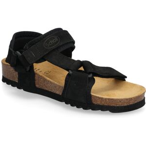 Scholl New Track 38 Black 38 Scholl New Track 38 Black 38