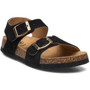 Scholl Sl Jean Suede Black 27 Black 27 Scholl Sl Jean Suede Black 27 Black 27