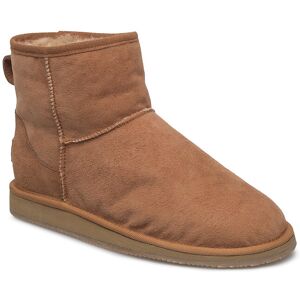 Shepherd Laura 38 Brown 38 Shepherd Laura 38 Brown 38