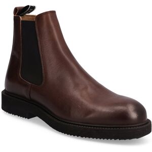 Sneaky Steve Sense Brown 43 Brown 43 Sneaky Steve Sense Brown 43 Brown 43