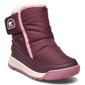 Sorel Childrens Whitney Ii Plus Bootie Wp 25 Red 25 Sorel Childrens Whitney Ii Plus Bootie Wp 25 Red 25