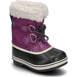 Sorel Childrens Yoot Pac Nylon Boot Wp 27 Purple 27 Sorel Childrens Yoot Pac Nylon Boot Wp 27 Purple 27