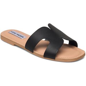 Steve Madden Zarnia Sandal 36 Black 36 Steve Madden Zarnia Sandal 36 Black 36