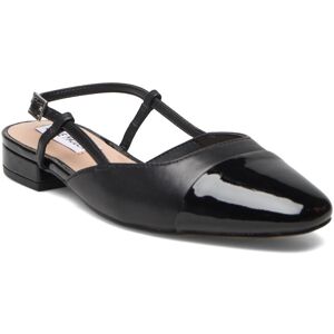 Steve Madden Belinda Ballerina 36 Black 36 Steve Madden Belinda Ballerina 36 Black 36
